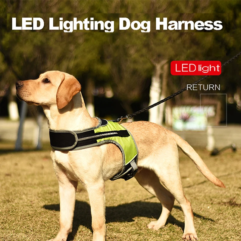 

LED Luminous Dog Harness Reflective Padded Dog Leash Chest Strap Pet Safety Reflective Harness Collar Labrador Pet Training Tool