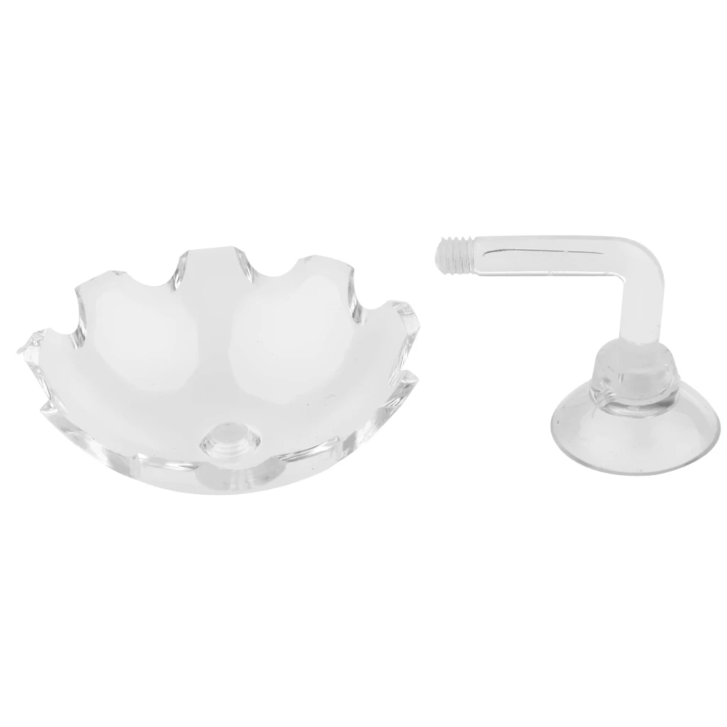 Блюдо для кормления креветок прозрачная фотография тропической рыбы