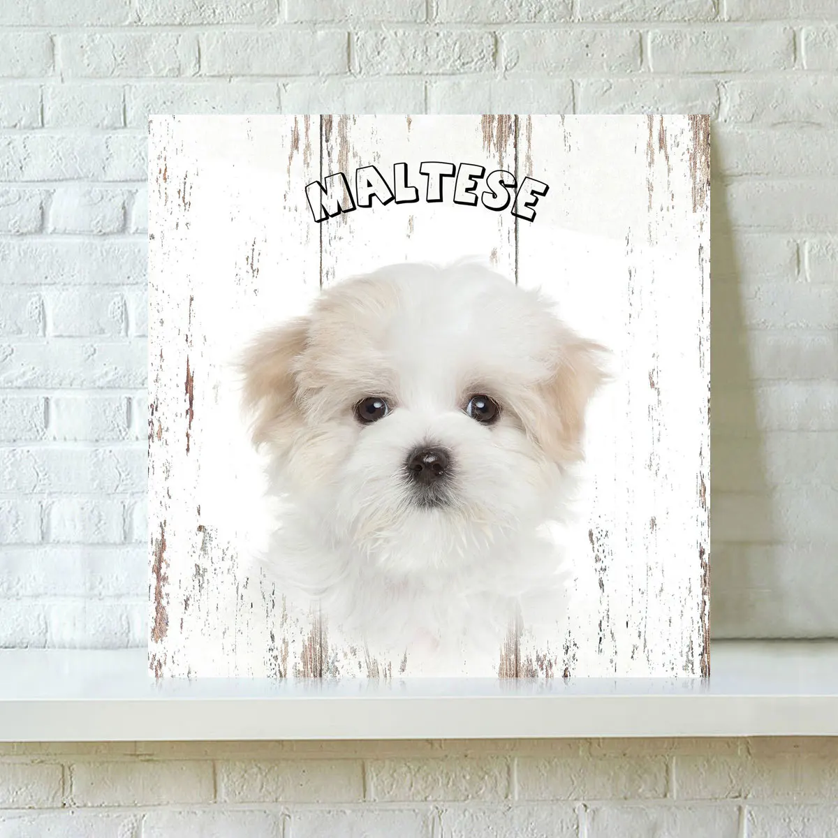 

HD Print Dogs Oil Painting Home Decor Wall Art on Canvas Cute Animals Dogs Canvas Printings Home Decoration Room Decoration