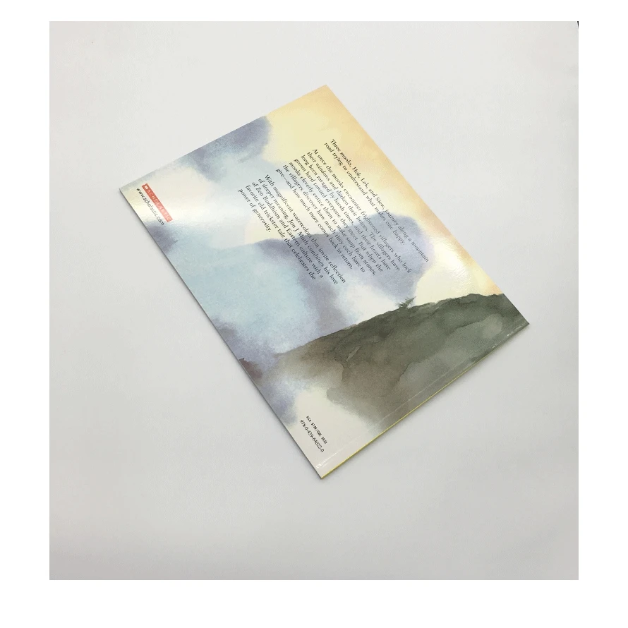 Каменный суп английские книги для чтения детей США английская история книга с