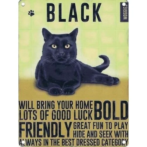 

Черный кот, котенок, металлическая кожа, другие породы, список кошек