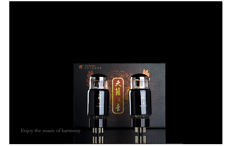 Вакуумная трубка 6CA7 T замена EL34 B 6P3P 5881 6L6G электронная Hi Fi звуковая вакуумная