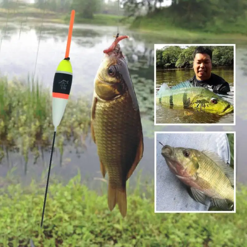 Линия верха снасти рыболовный поплавок набор 10 шт./пакет смешанные Размеры 1g 5g