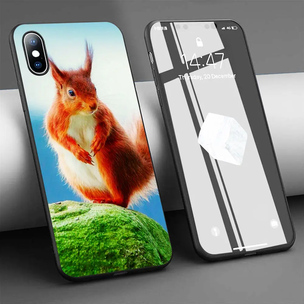 Чехол с красивой Красной белкой мягкий силиконовый чехол для телефона iPhone 11 Pro Max X
