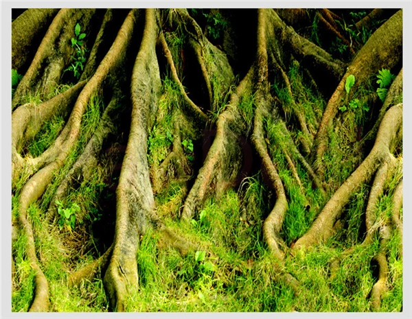 Двухсторонний фон для аквариума декоративный романтические обои фотосъемки