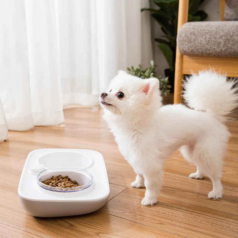 Hipidog уход за позвоночником собака Кормушка автоматический дозатор воды еда