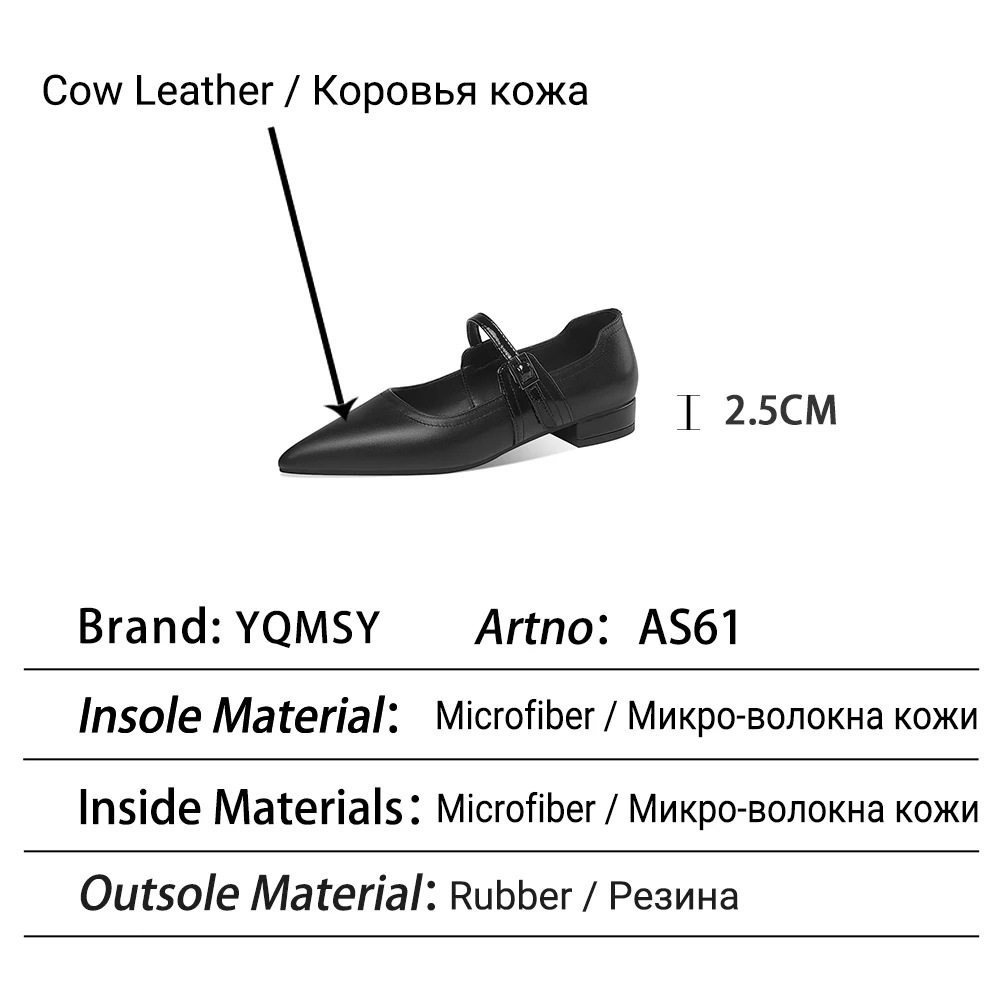 

YQMSY Casual Women's Flats New Mary Janes Pointed Toe Buckle Strap Concise Flat Shoes Office Concise Career Ladies Shoes AS61
