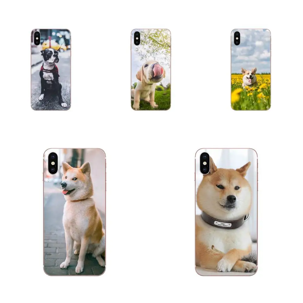 Прекрасный Животные собака дрова для Galaxy Alpha Note 10 Pro A10 A20 A20E A30 A40 A50 A60 A70 A80 A90 M10 M20 M30