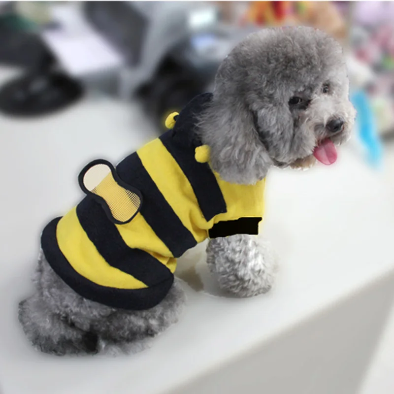 Одежда для хот кота одежда собак милый костюм куртка домашних животных