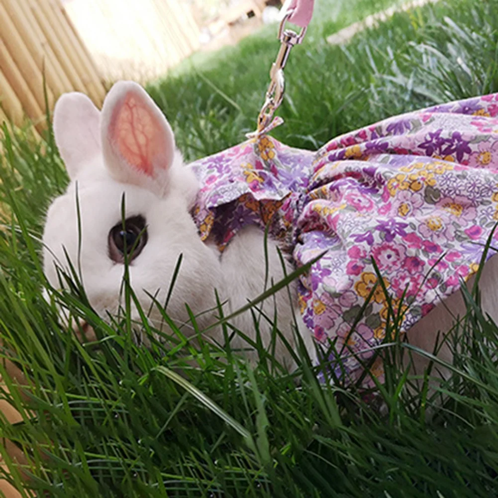 Поводок для маленьких домашних животных регулируемый нагрудный ремень уличная