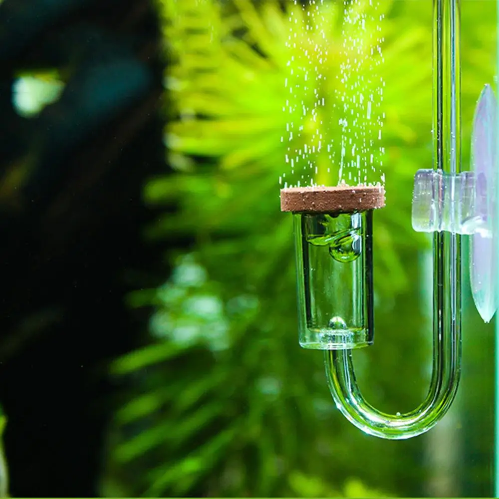 DIY CO2 генератор акриловый прозрачный Аквариум диффузор стеклянный резервуар