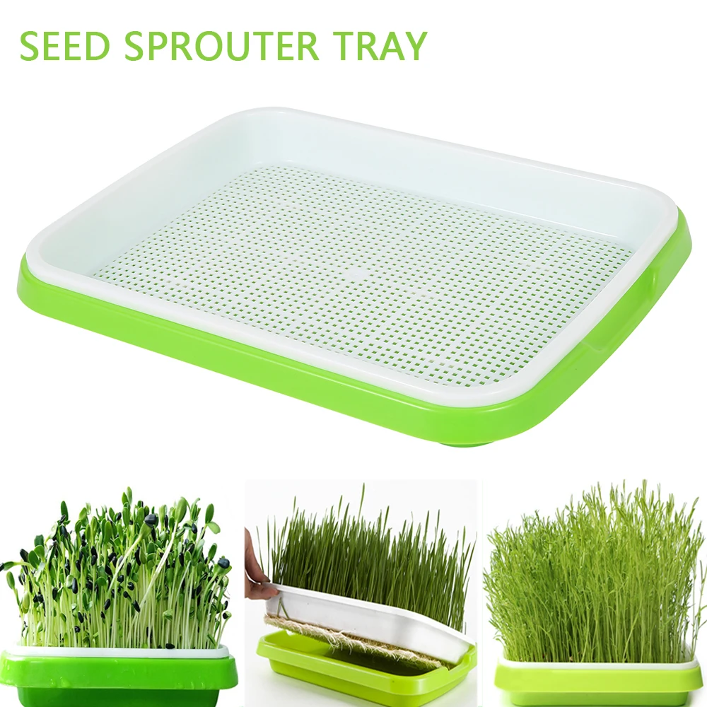 

Seed Sprouter Tray PP Soil-Free Big Capacity Healthy Wheatgrass Grower without Cover Seedling Tray Sprout Plate Hydroponic