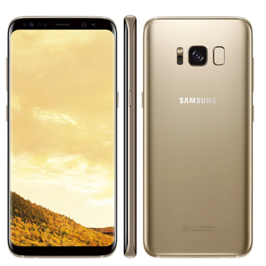 Мобильный телефон samsung Galaxy S8 Duos G950FD с двумя sim-картами, 4 ГБ, 64 ГБ, Восьмиядерный процессор Exynos 8895, 5,8 дюймов, NFC, 4G, Android