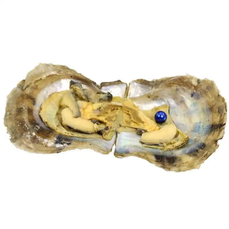 Стандартная доставка! Объемные 100 устрицы Akoya с круглым жемчугом 6-8 мм внутри