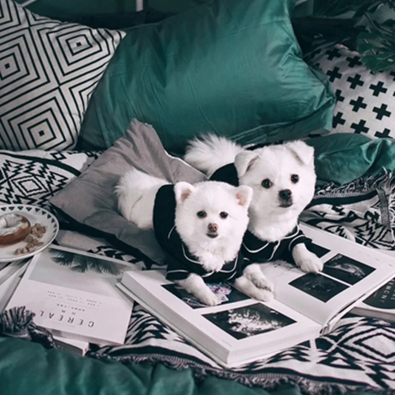 Пижама для собак летняя одежда маленьких рубашка чихуахуа домашних животных