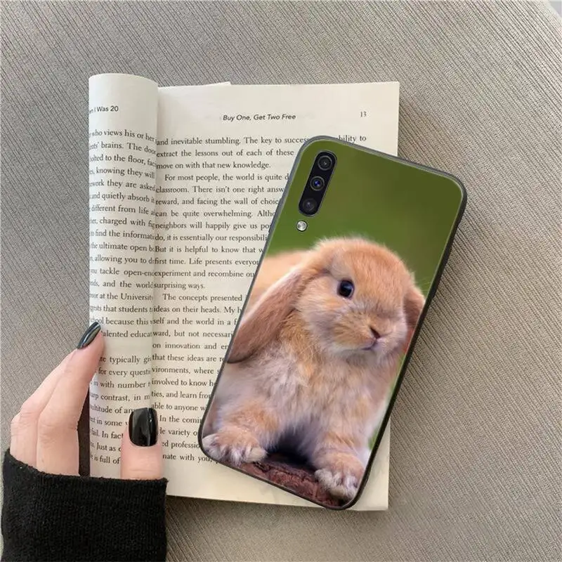 

Cute animal rabbit Phone Case For Samsung galaxy A S note 10 7 8 9 20 30 31 40 50 51 70 71 21 s ultra plus
