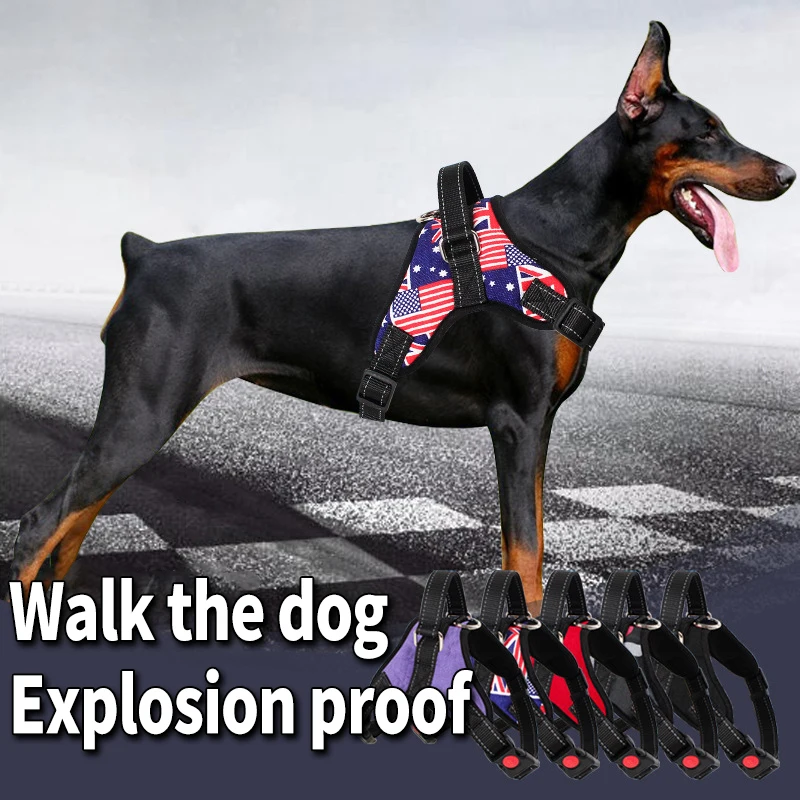 

Dog Harness Leash Nylon Breathable Vest Adjustable Outdoor Training Pet Accessories Suitable for Small Dogs Medium-Size Bulldog