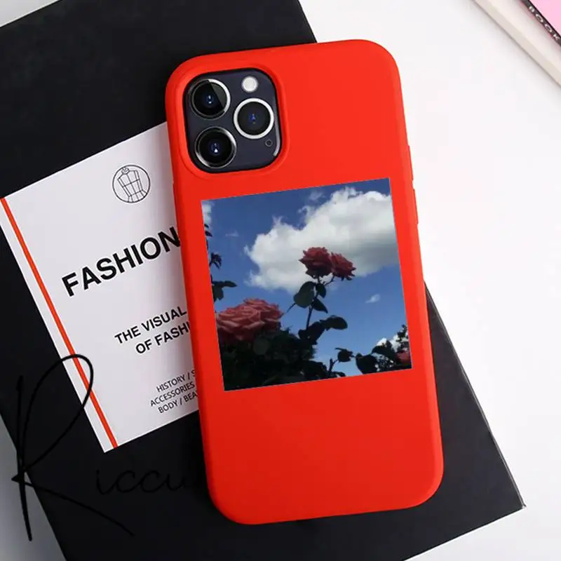 

Pink Aesthetics songs lyrics Phone Case for iPhone 12 pro max mini 11 pro XS MAX 8 7 6 6S Plus X 5S SE 2020 XR red case