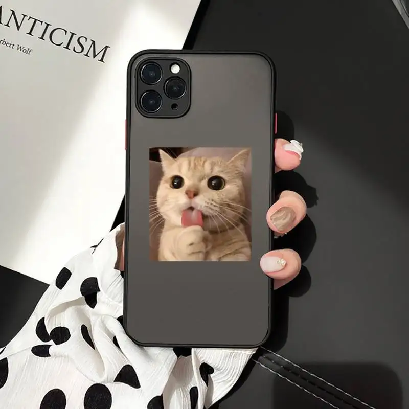 

Cute cat funny animal Phone Cases Matte Transparent for iPhone 7 8 11 12 s mini pro X XS XR MAX Plus cover funda