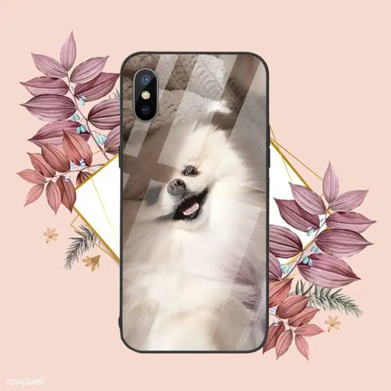 

Pomeranian dogs dog Phone Case Tempered glass For iphone 6 6S 7 8 plus X XS XR 11 12 mini PRO MAX