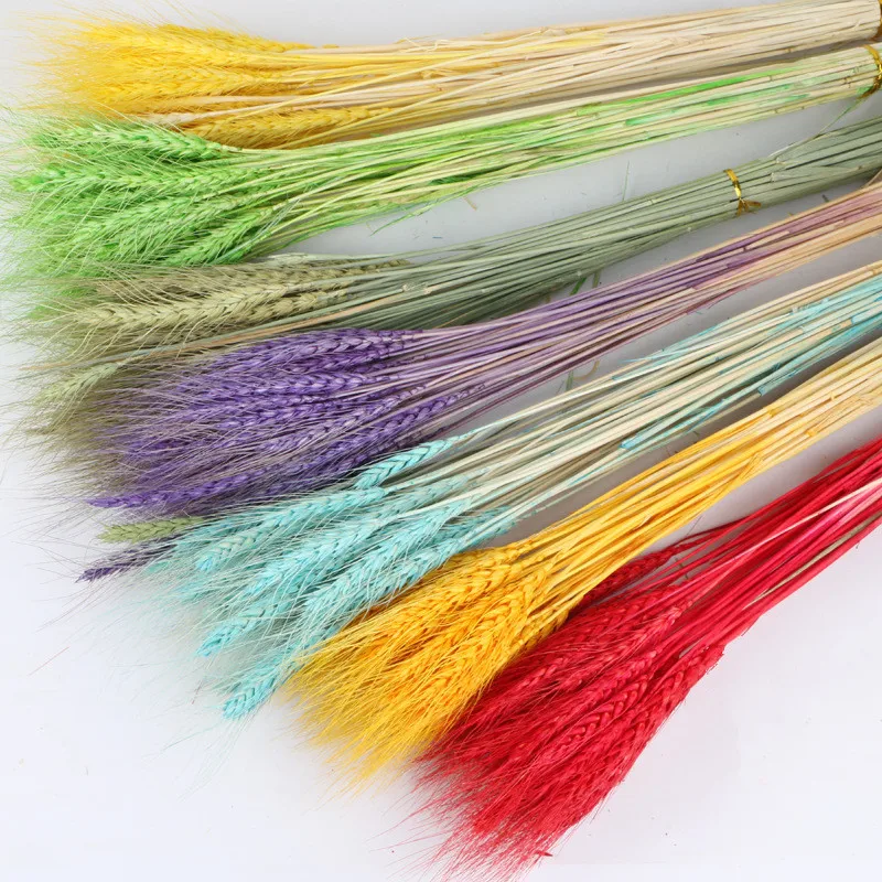 50 шт./лот натуральный цветок пшеничных ушей Натуральные сушеные цветы для