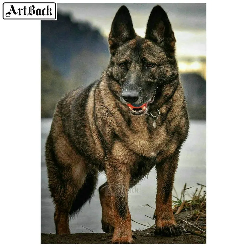 

Full square / round diamond painting dog pattern diamond mosaic diy 5d canvas embroidery animal diamond art 70x100cm