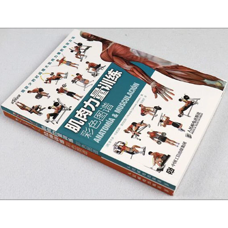 2/шт. Мышечная силовая тренировка + Растяжка цветная карта упражнения фитнес