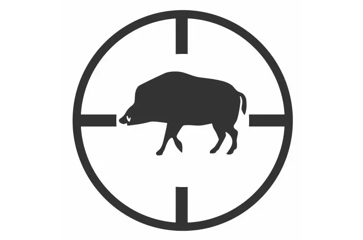 

10cm X 10cm Interesting Wild Boar Under The Hunter Gun PVC Car Sticker Vinyl Accessories Car Window Motorcycle Decal