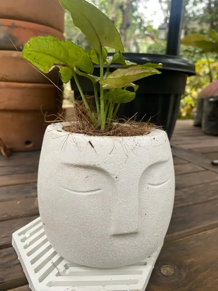 Форма для кастрюли из силикона форма с головой человека вазы бетона