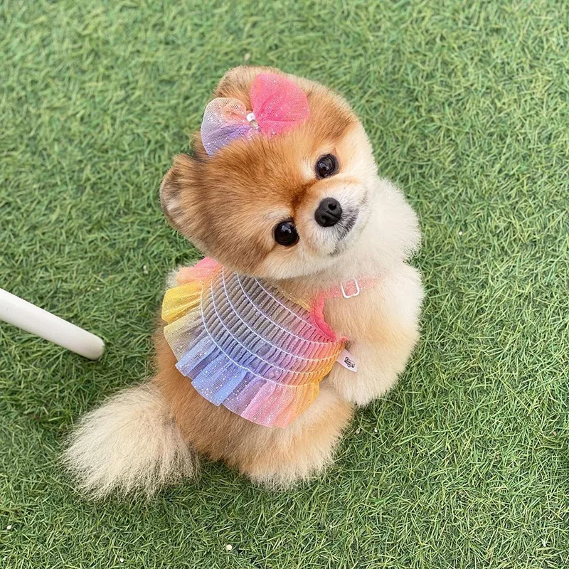 

Rainbow Dog Skirt Sling Summer Breathable Thin Shirt Chihuahua York Puppy Clothes Pomeranian Poodle Bichon Teddy Schnauzer Corg