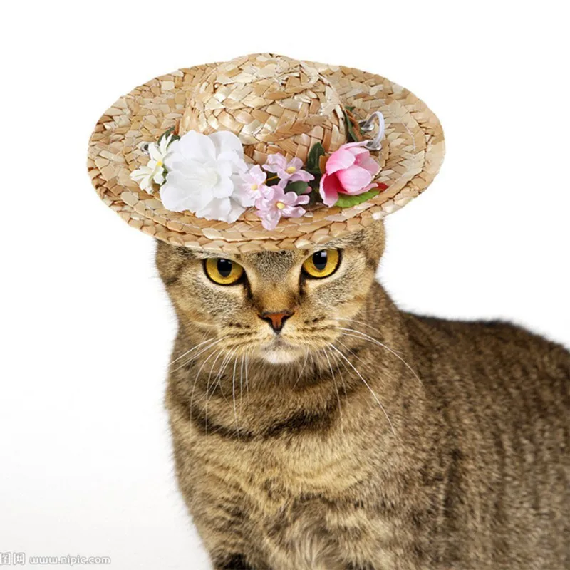 

Fashion Pet Dogs Straw Woven Hat Spring Summer Pets Sunshade Caps for Puppy Dogs Pet Hawaii Style Hats Supplies For Dogs