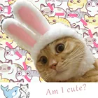 Шапка для домашнего питомца, Забавный Пасхальный костюм кота, теплая шапка кролика с ушками для кошек и маленьких собак, аксессуары для костюма домашнего питомца