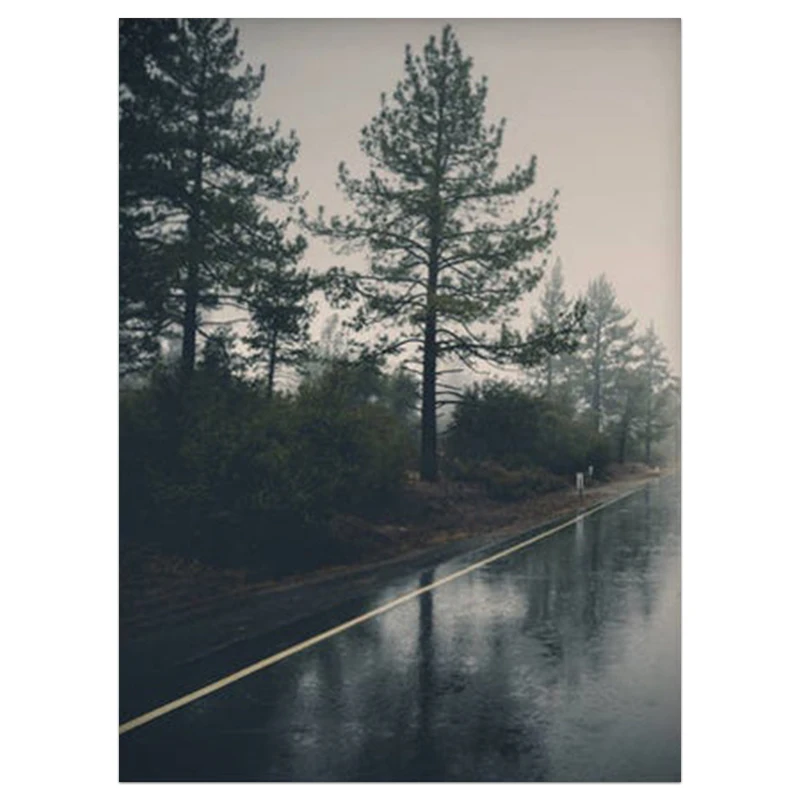 

Nordic Forest Lanscape Wall Art Trees Road Canvas Poster and Print Canvas Painting Decorative Picture for Living Room Home Decor