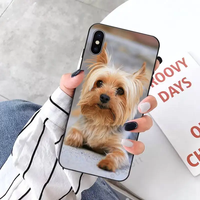 

Cute Yorkshire Terrier dog Phone Case for iPhone 11 12 pro XS MAX 8 7 6 6S Plus X 2020 XR Mini