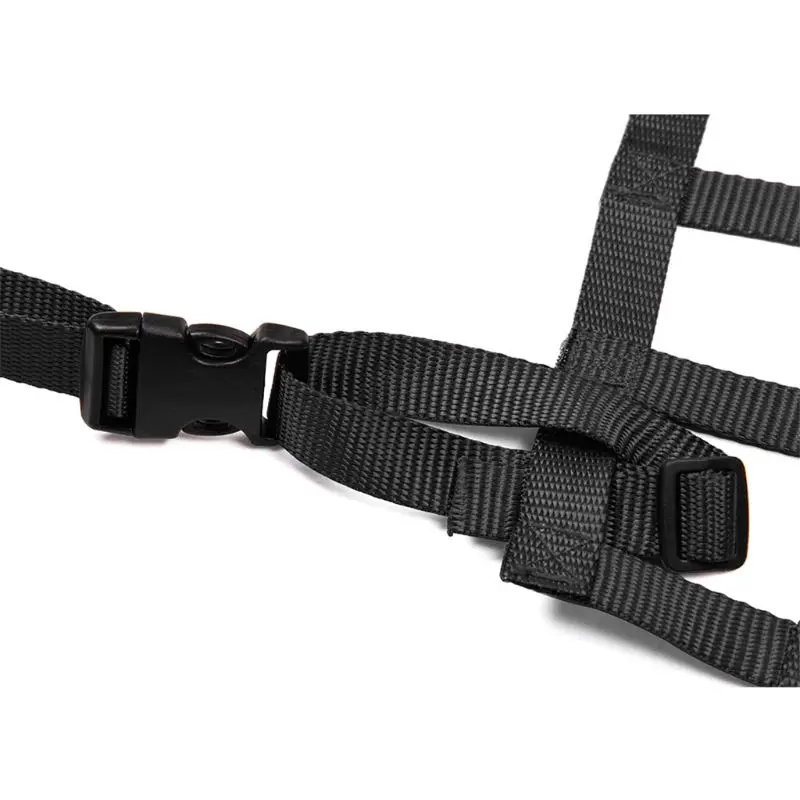 Черная Универсальная автомобильная гоночная сетка для окон оборудование