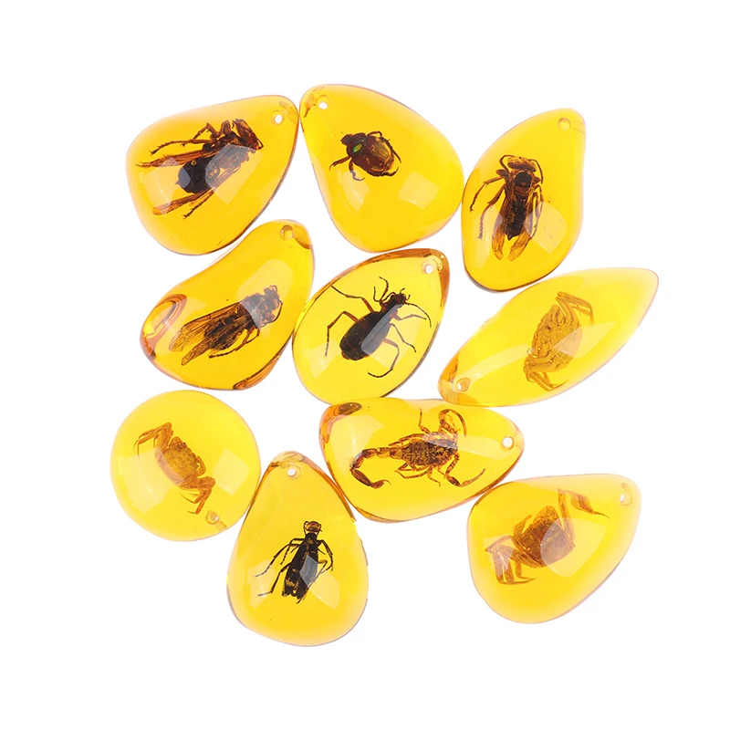 

Natural Amber Stone Original Gemstones Insect Scorpions Bee Specimen Handicraft DIY Key Chain Accessories Random Color