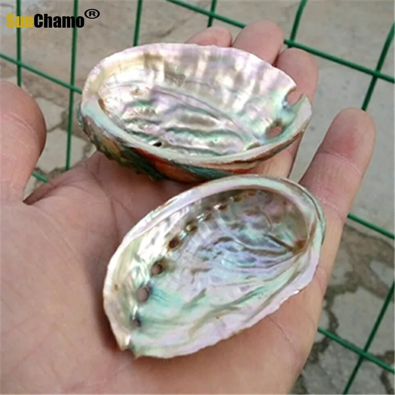 Ракушка в виде натуральных ракушек красочная ракушка форме морской звезды