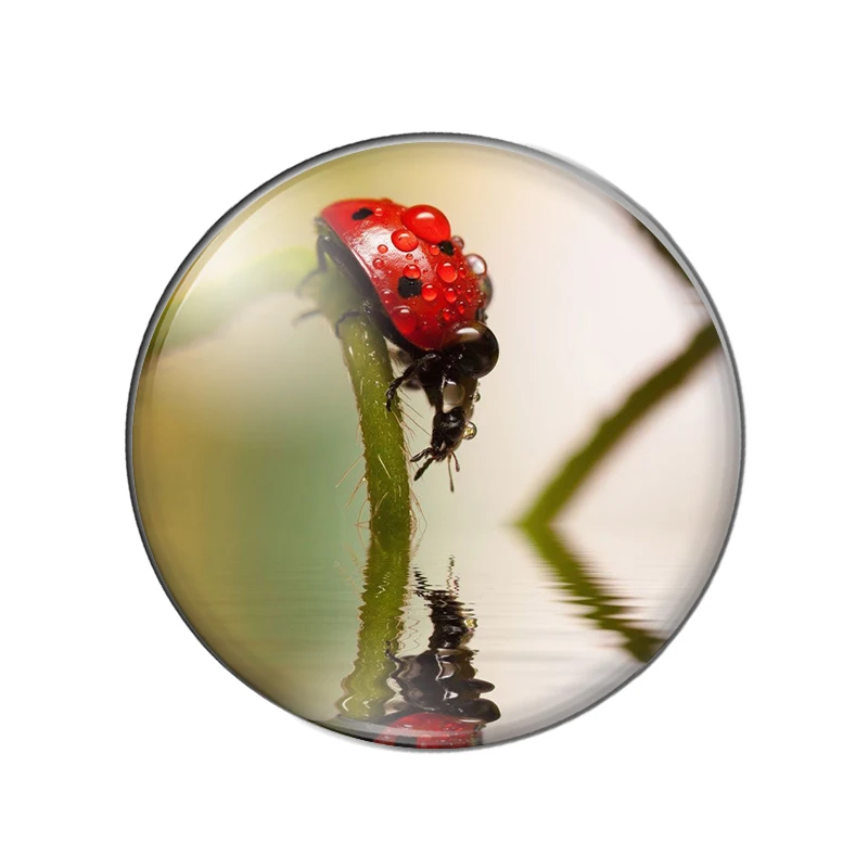 Новинка Божья коровка в виде насекомых обратно природу 10 мм/12 мм/18 мм/20 мм/25 мм
