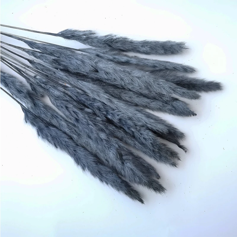 

15pcs Dried Wedding Pampas Grass Decor Natural Flowers Pampas Grass Marriage Decoration Accesories Home Party Room Ornaments