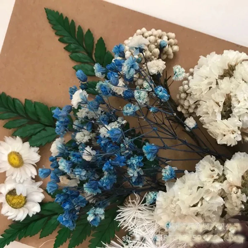 1 упаковка натуральные свежие сохраненные цветы DIY пресс цветочные для фоторамки
