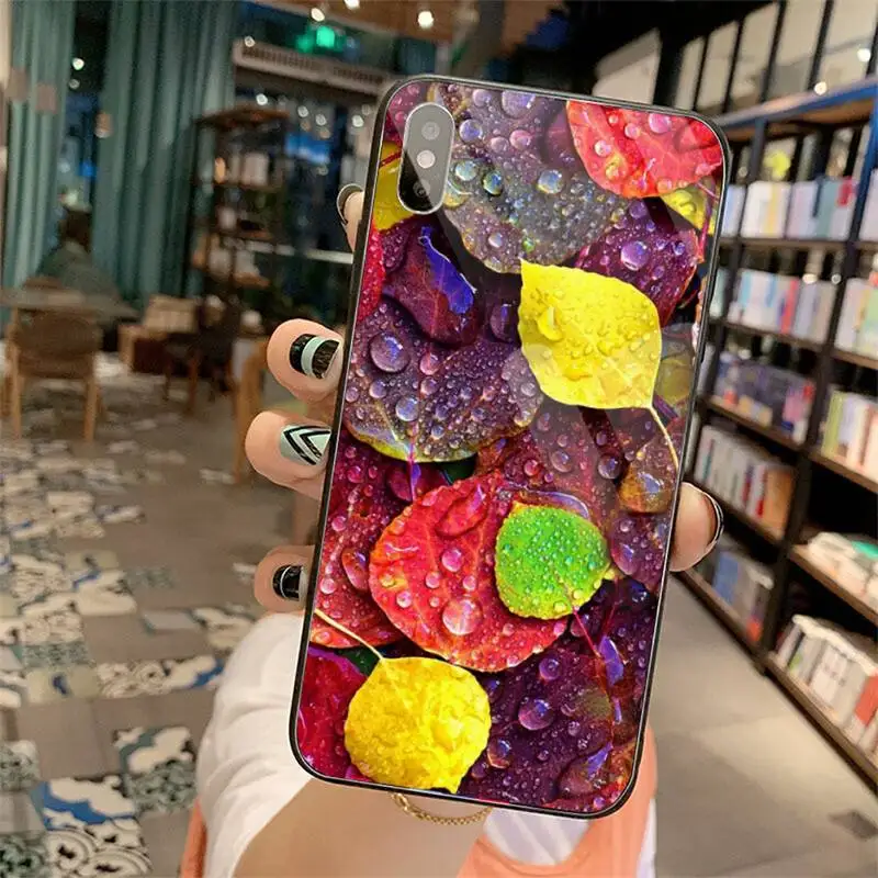 

Ladybug leaf color plant universal painting Phone Case Tempered glass For iphone 5C 6 6S 7 8 plus X XS XR 11 PRO MAX