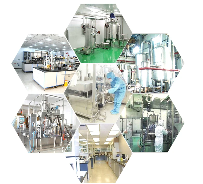 100-1000 г лучшее качество 100% натуральный порошок экстракта ягод годжи лиций Волчья