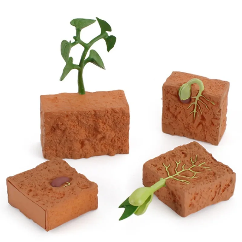 

Моделирование жизненный цикл зеленой фасоли цикла роста растений Модель Фигурки Коллекция научные Развивающие игрушки для детей