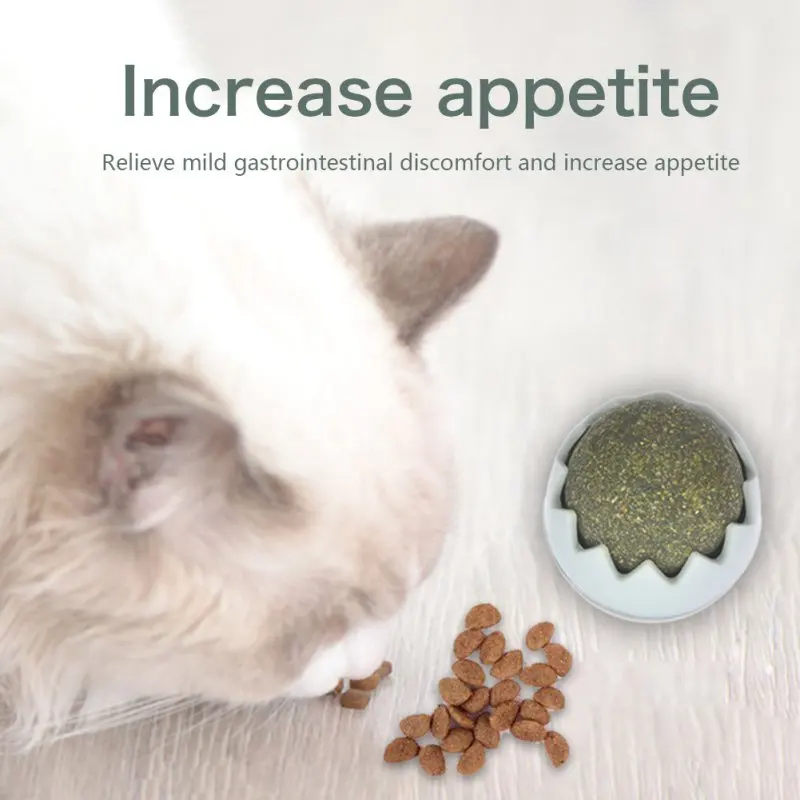 Пасхальное яйцо мята для кошачьей мяты|Игрушки кошек| |