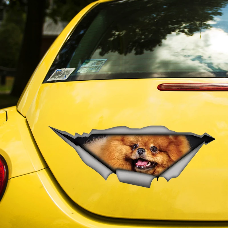 Pomeranian Dog Funny 3D Self-adhesive Decal Car Sticker Waterproof Auto Decors on Bumper Rear Window Laptop Choose Size #S60484
