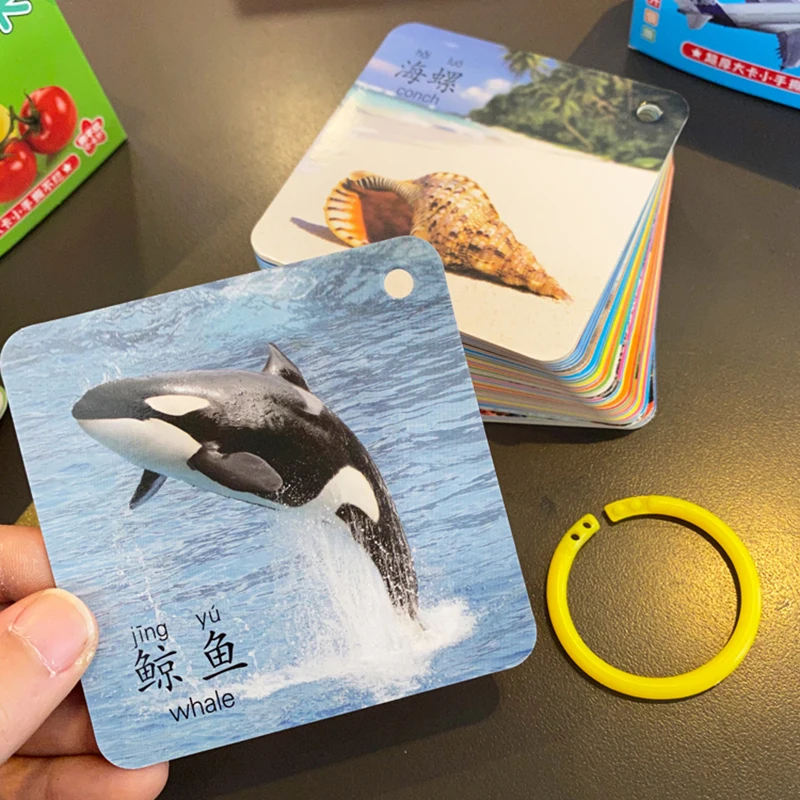 45 шт. детские развивающие карты-флеш-накопители | Игрушки и хобби