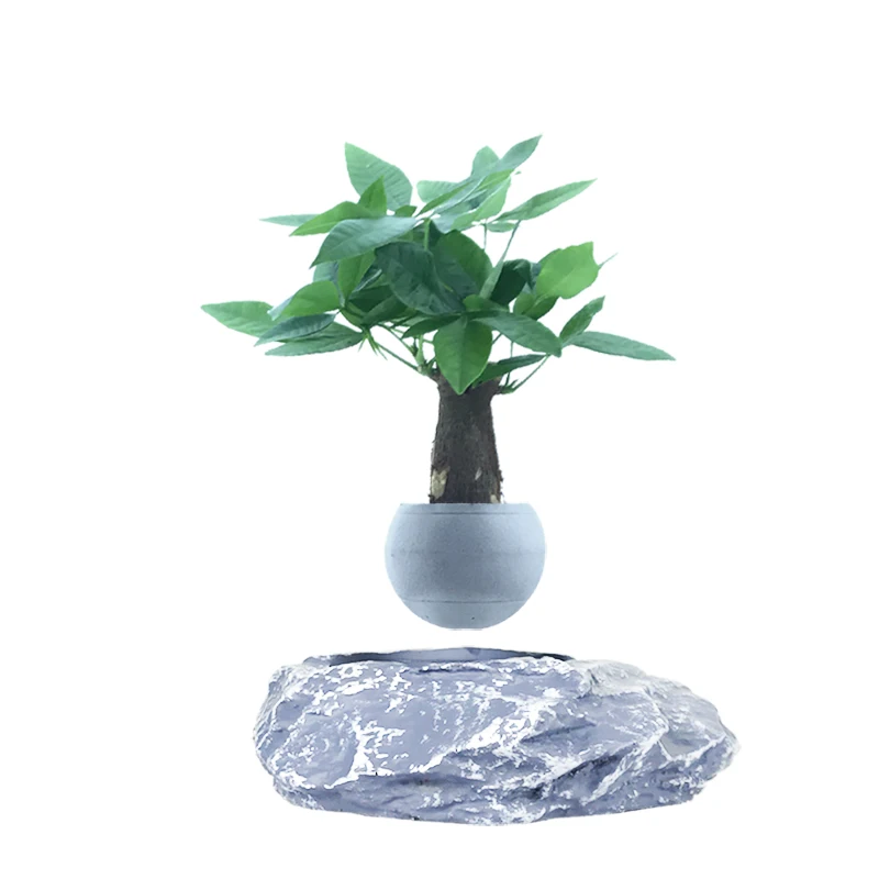 

Beautiful Gifts For Friends Magnetic Levitation Potted Plant Floating Air Bonsai Tree Pot Garden Flower Pot Free Shpping