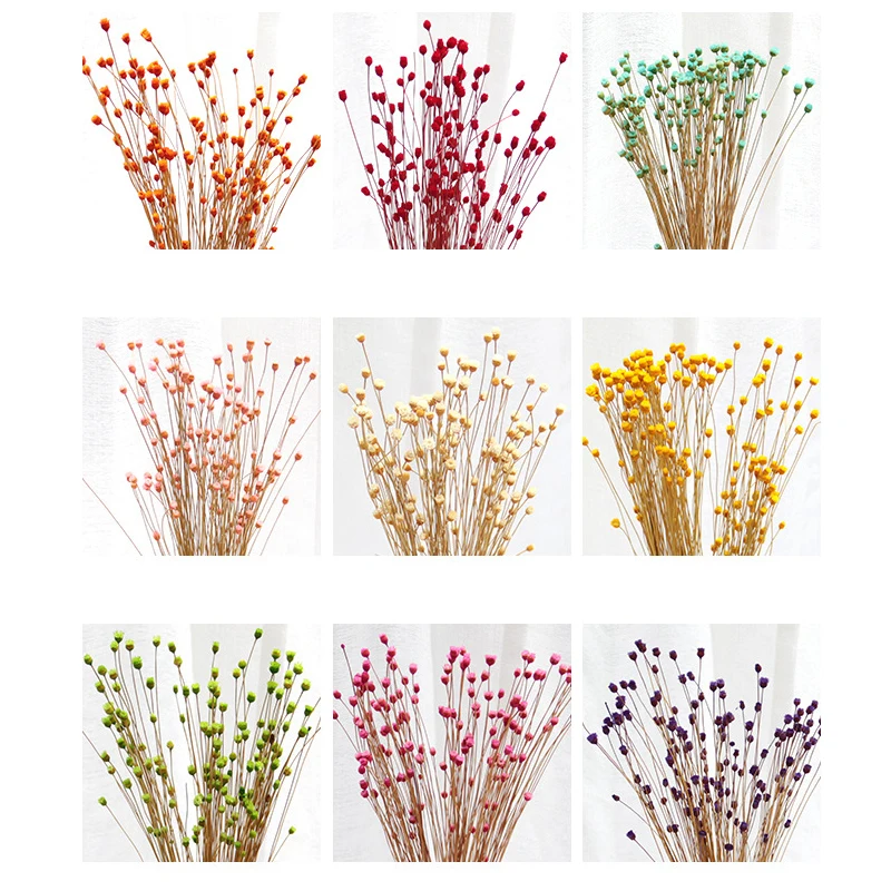 50pcs Natural Simulation Flowers Imported Ins Dried Flower Bouquet Real Happy Shooting Props Sticky Material Decorative | Дом и сад