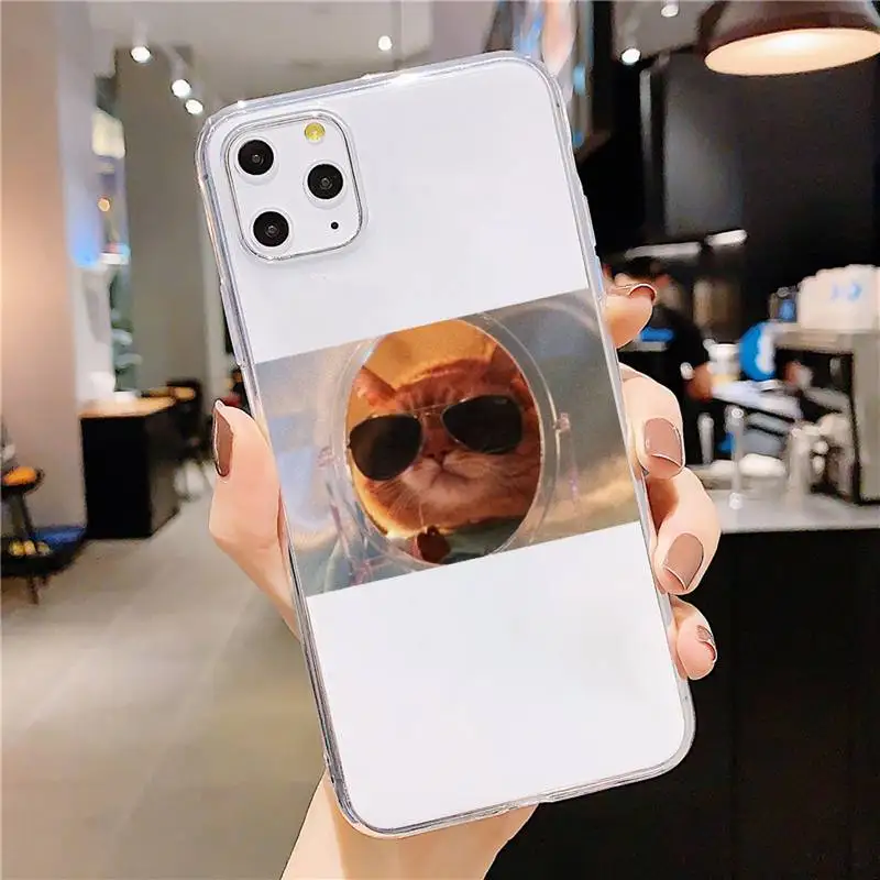 

Cute animal cat dog Phone Case Transparent soft For iphone 5 5s 5c se 6 6s 7 8 11 12 plus mini x xs xr pro max