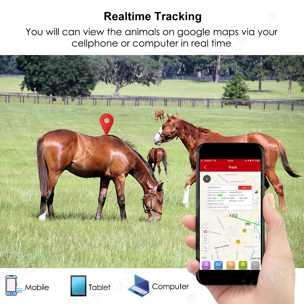 MiCODUS GPS трекер собака для собак корова овца 3000 мАч водонепроницаемый домашних